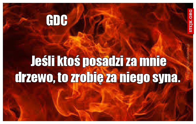 Jeśli ktoś posadzi za mnie drzewo, to zrobię za niego syna. 