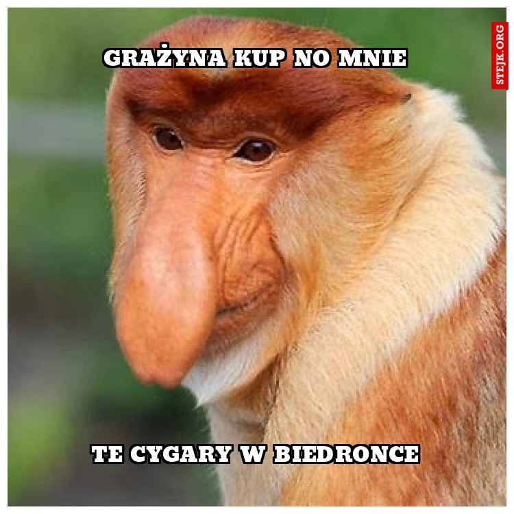 GRAŻYNA KUP NO MNIE