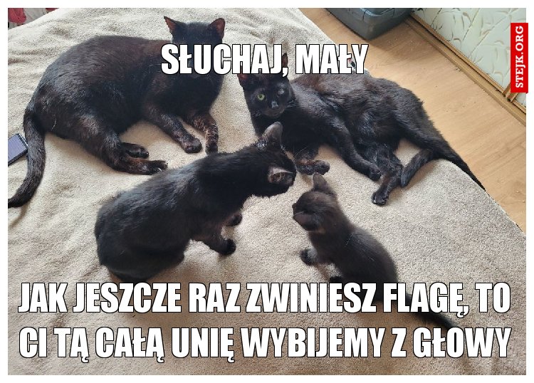 słuchaj, mały