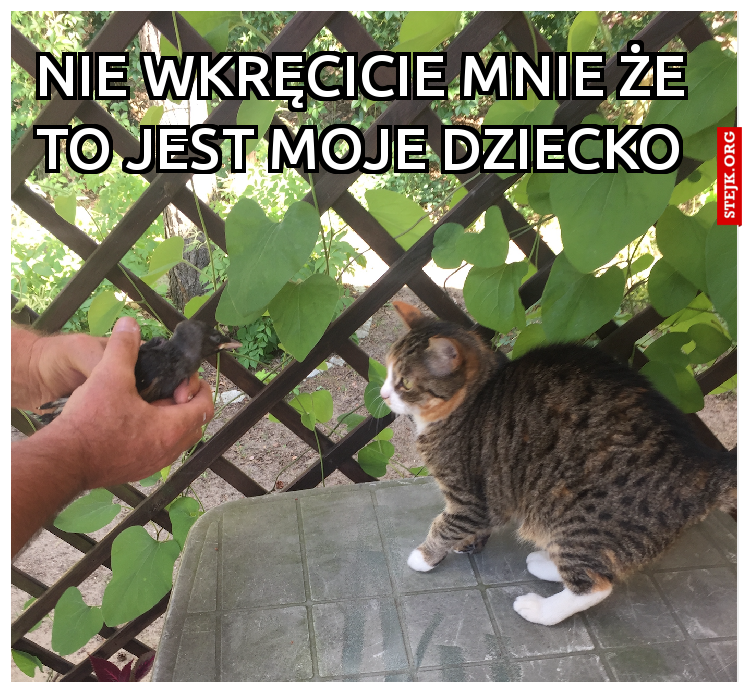nie wkręcicie mnie że to jest moje dziecko