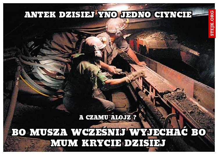 antek dzisiej yno jedno ciyncie
