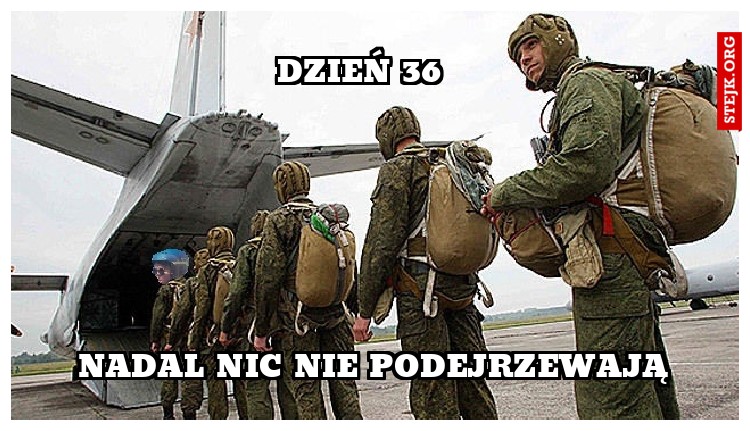 Dzień 36