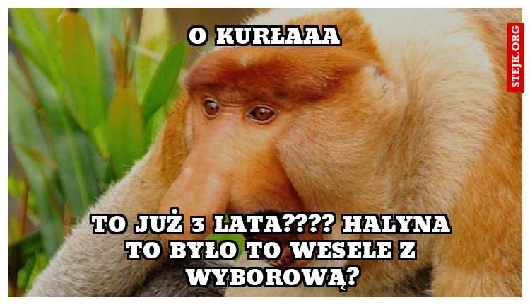 O KUrŁAAA