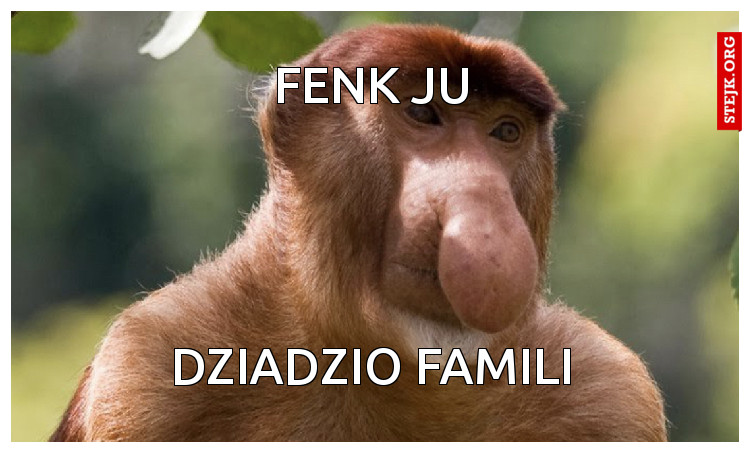 FENK JU