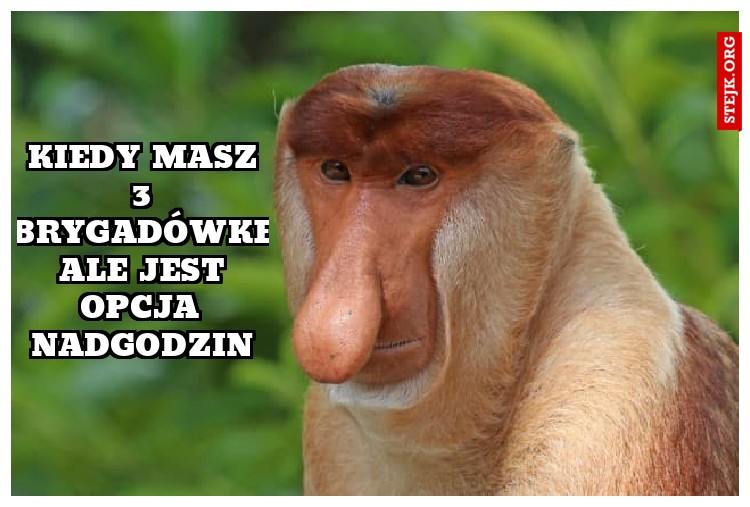 kiedy masz 3 brygadówke ale jest opcja nadgodzin