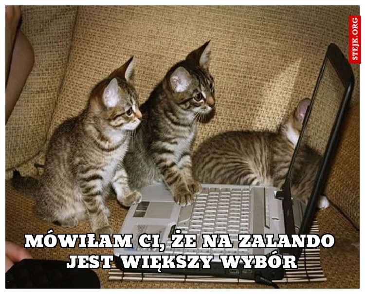 Mówiłam Ci, że na Zalando jest większy wybór