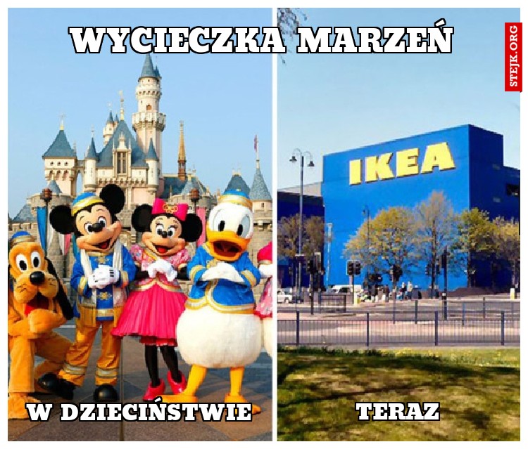 Wycieczka marzeń