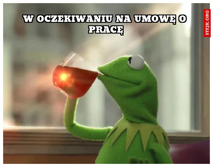 w oczekiwaniu na umowę o pracę
