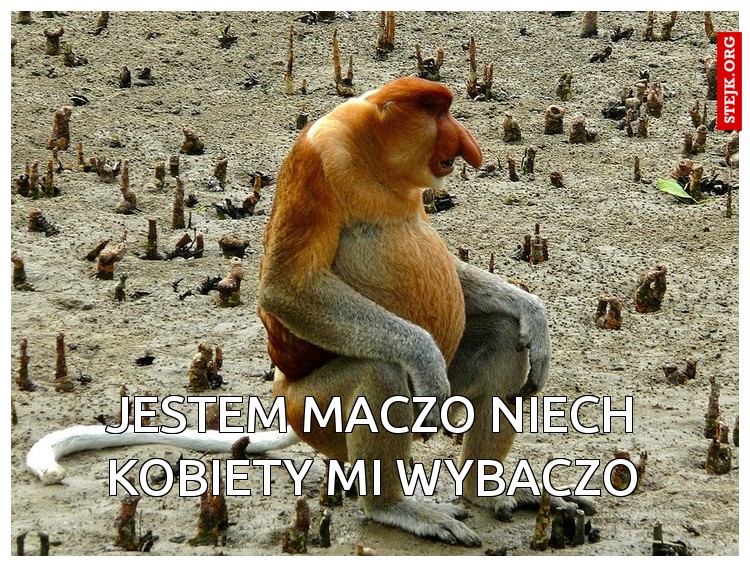Nie pacz kiedy odjadę