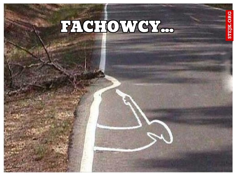 Fachowcy...