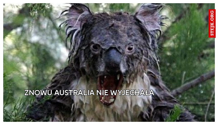 znowu australia nie wyjechała