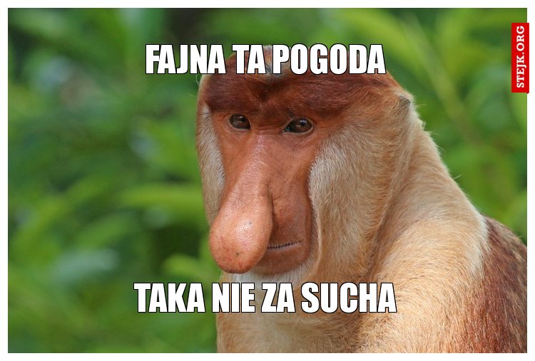 Fajna ta pogoda