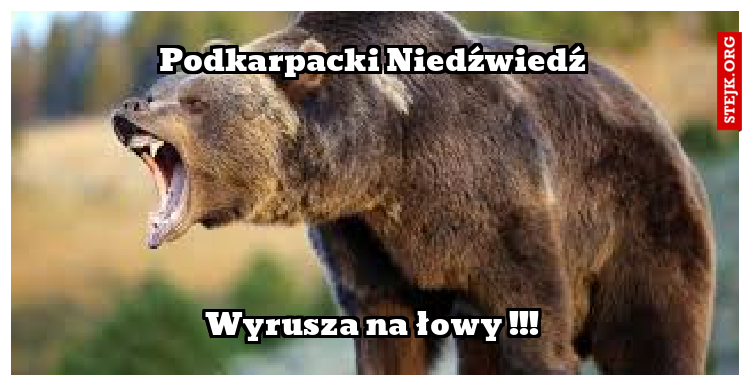 Podkarpacki Niedźwiedź