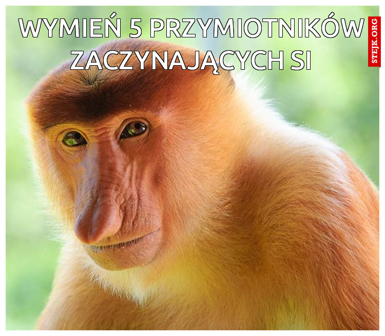 wymień 5 przymiotników zaczynających się ...
