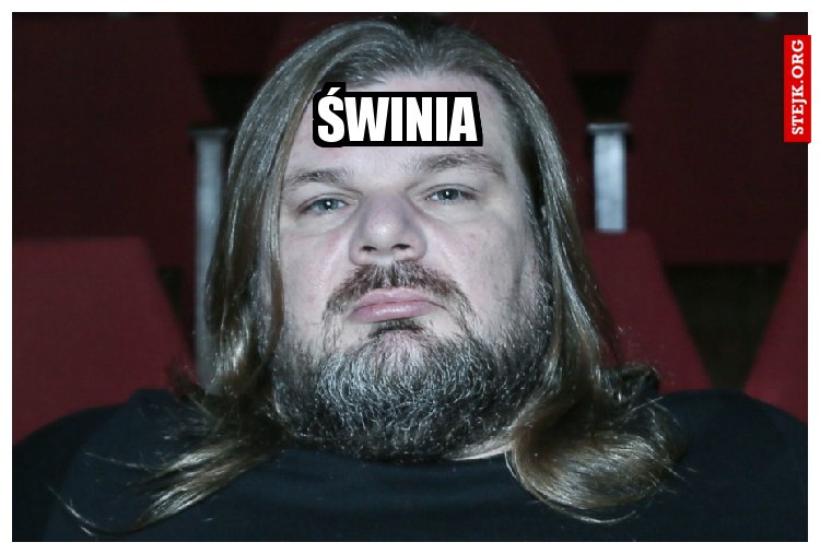 Świnia 