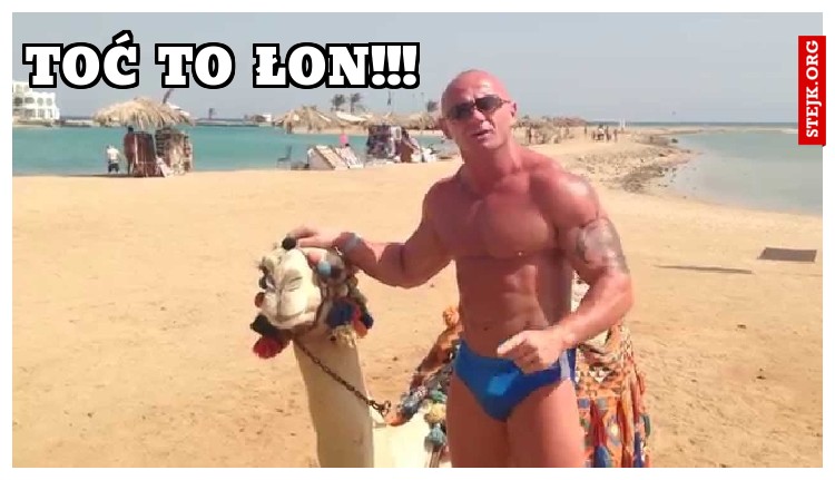 TOĆ TO ŁON!!! 