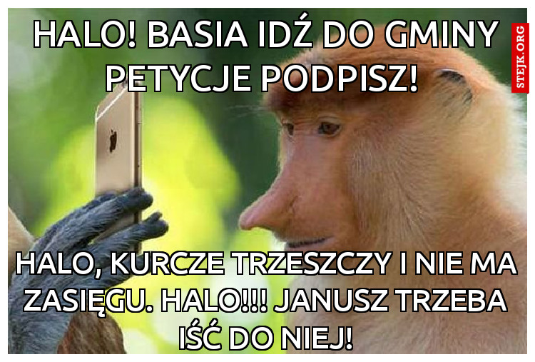 Halo! Basia idź do gminy petycje podpisz! 