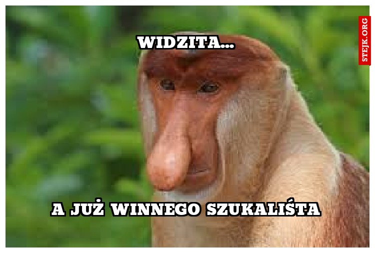 widzita...