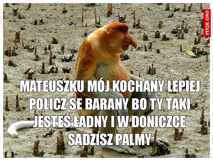 Mateuszku mój kochany lepiej policz se barany bo ty taki jesteś ładny i w doniczce sadzisz palmy