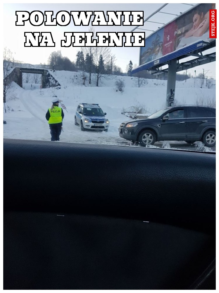       polowanie        na jelenie