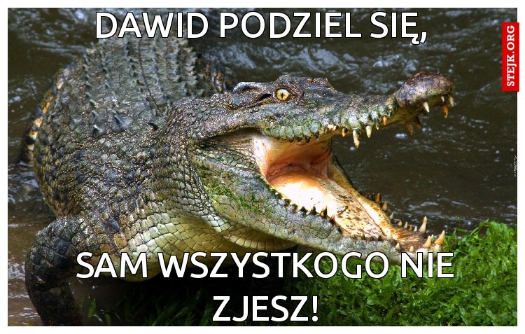 Dawid podziel się,