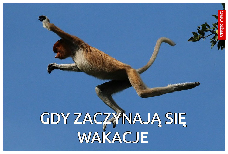 Skoro śmiejąc się przedłużamy sobie życie