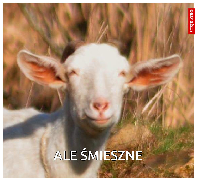 Ale śmieszne