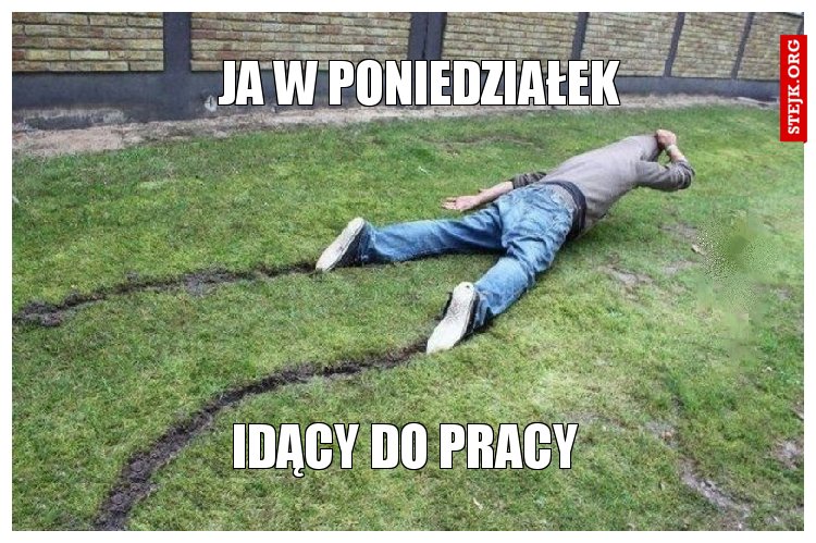 Ja w poniedziałek