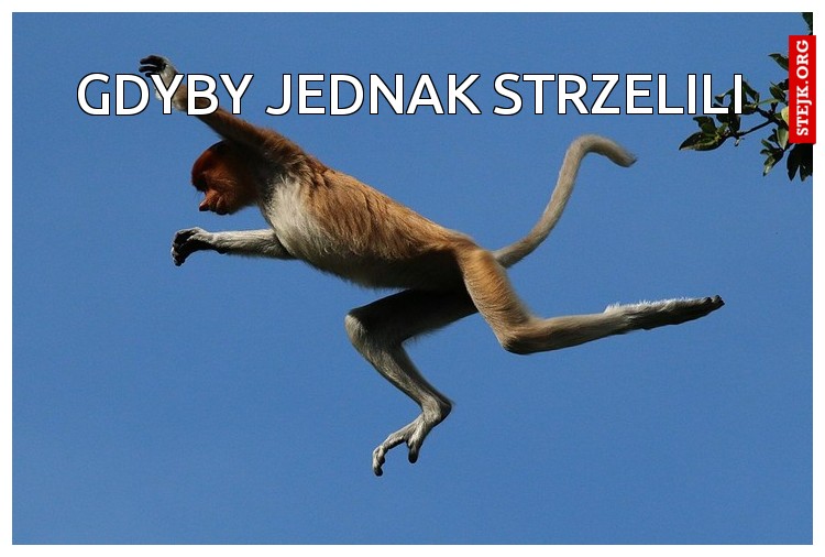 Gdyby jednak strzelili