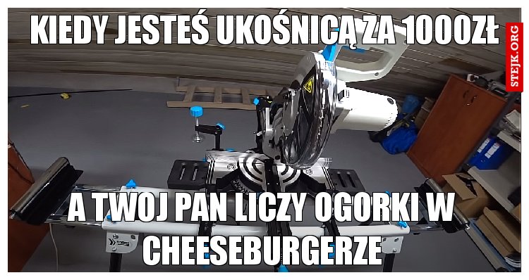 kIEDY JESTEŚ UKOŚNICĄ ZA 1000ZŁ