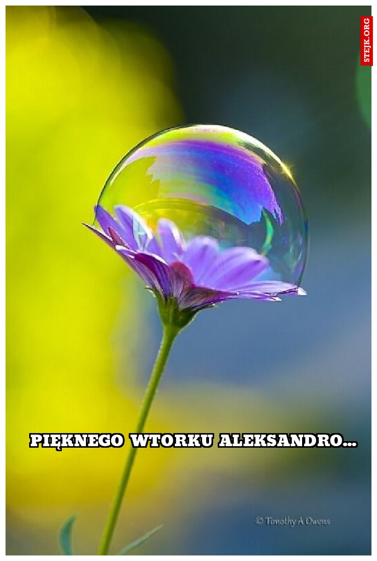 Pięknego wtorku aleksandro...
