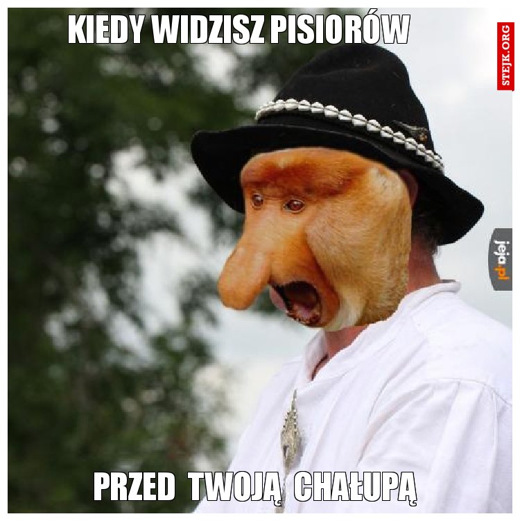 kiedy widzisz pisiorów