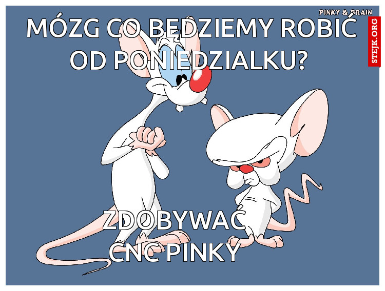 Mózg co będziemy robić od poniedzialku? 