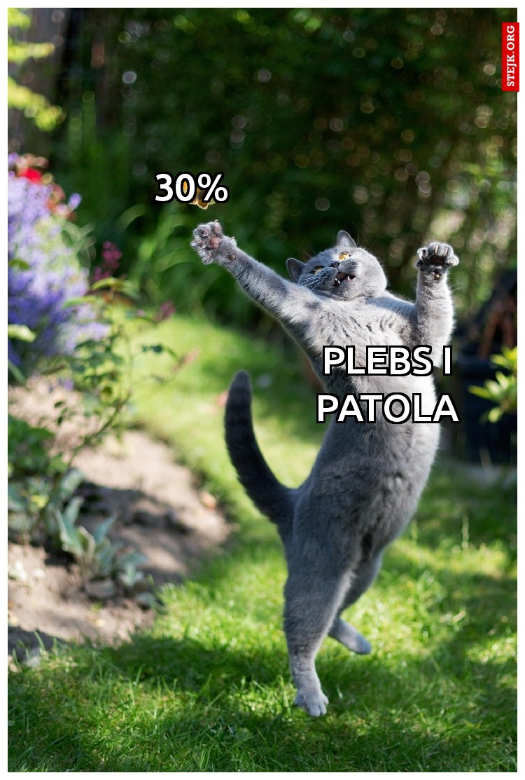 30%