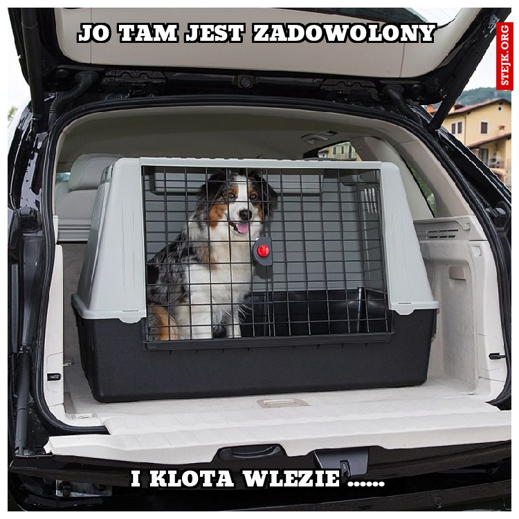wjysz musza wcześnij wyjechać