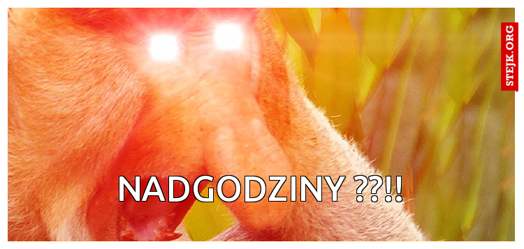 NADGODZINY ??!!