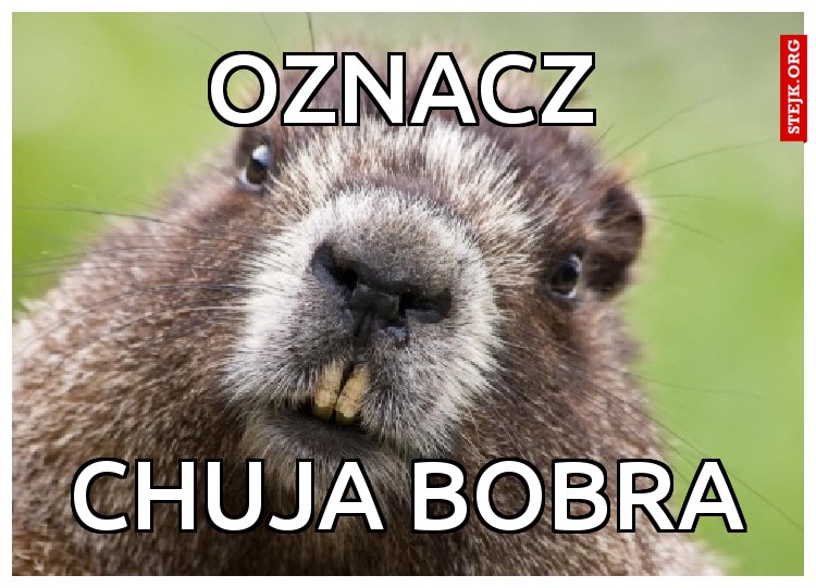 OZNACZ