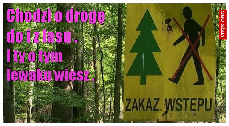 Chodzi o drogę do i z lasu .