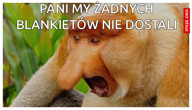 paNI MY ŻADNYCH BLANKIETÓW NIE DOSTALI