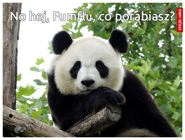 No hej, Fumflu, co porabiasz?