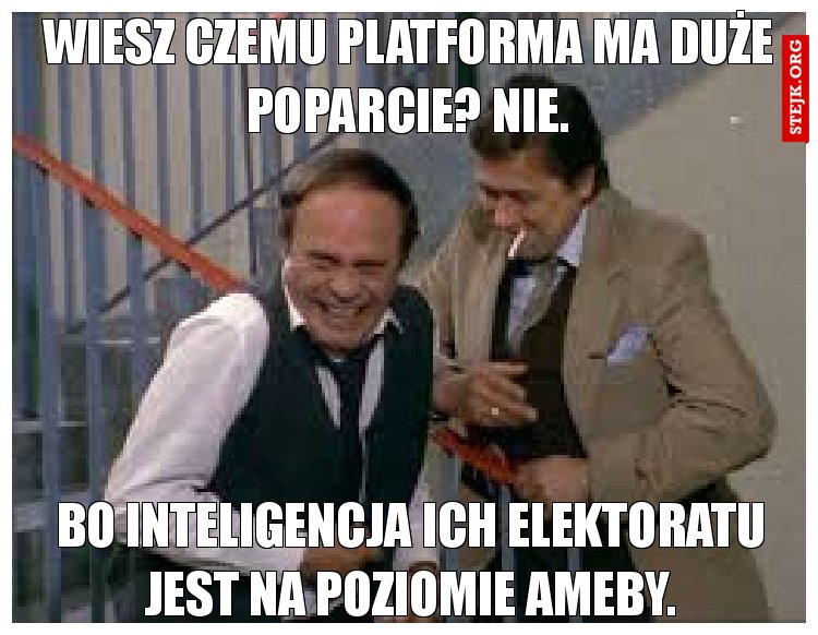 Wiesz czemu platforma ma duże poparcie? Nie.