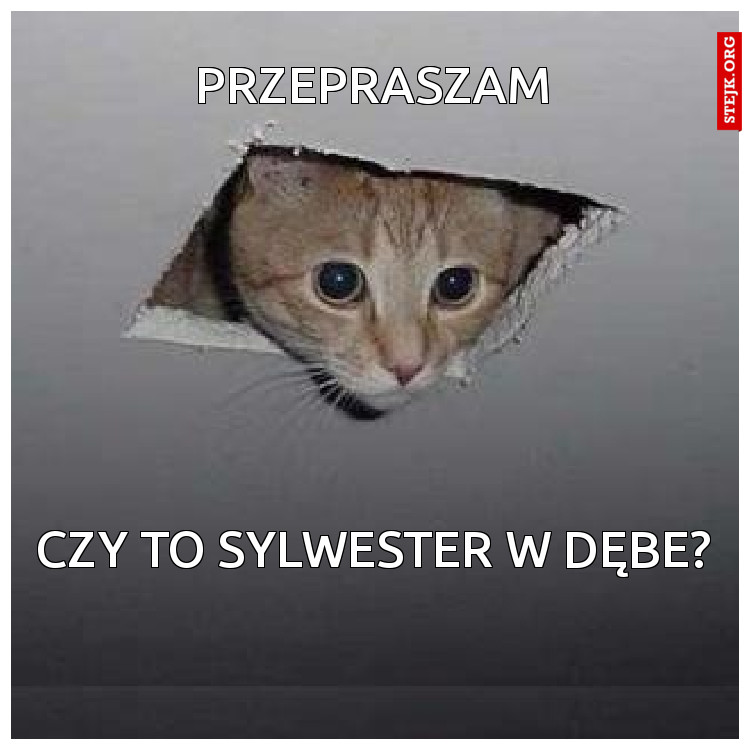 Przepraszam