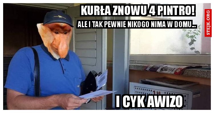 Kurła znowu 4 pintro! 