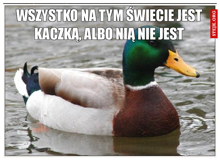 WSZYSTKO NA TYM ŚWIECIE JEST KACZKĄ, ALBO NIĄ NIE JEST