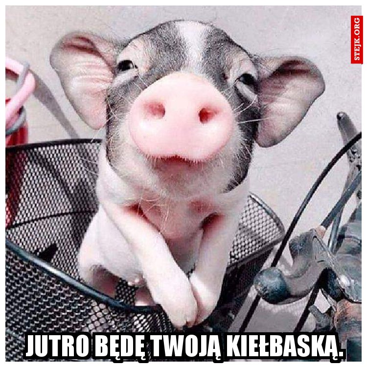 Jutro będę twoją kiełbaską.