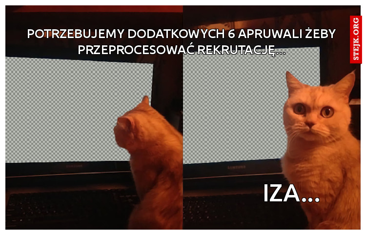Potrzebujemy dodatkowych 6 apruwali żeby przeprocesować rekrutację...