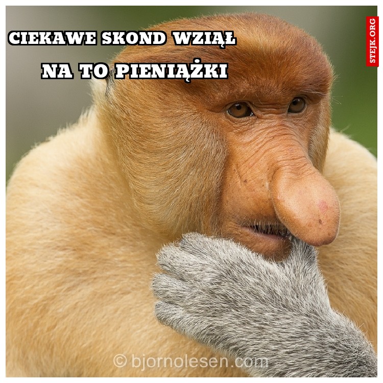 CIEKAWE SKOND WZIĄŁ