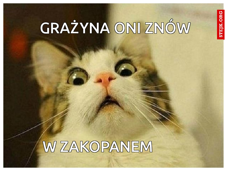 Grażyna oni znów