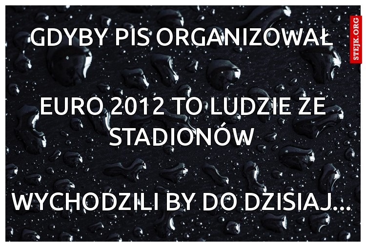 Gdyby pis organizował