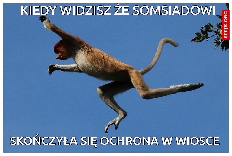 kiedy widzisz że somsiadowi 